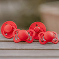 BIBS - Rot