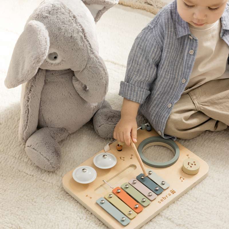 Sebra Activity panel - Music