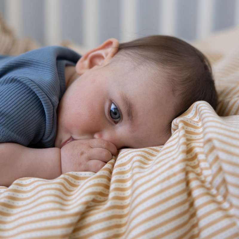 Cam Cam Copenhagen Lenjerie de pat - Bebeluș - GOTS - Oatfield