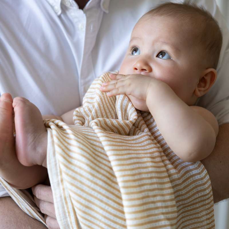 Cam Cam Copenhagen Látková plena - 2 kusy - GOTS - Oatfield