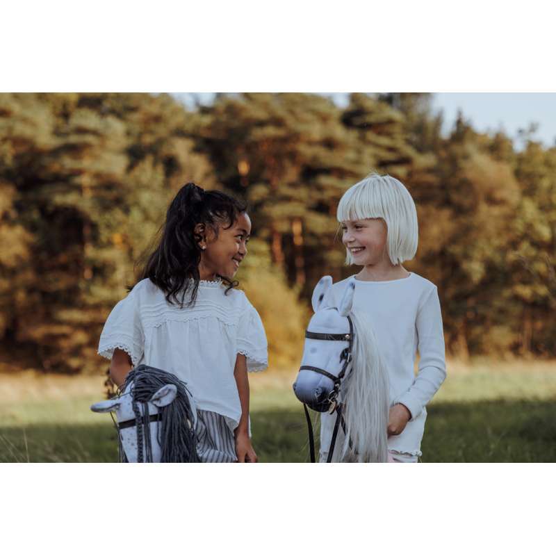 By Astrup stokpaardje - Ster - Gråschimmel