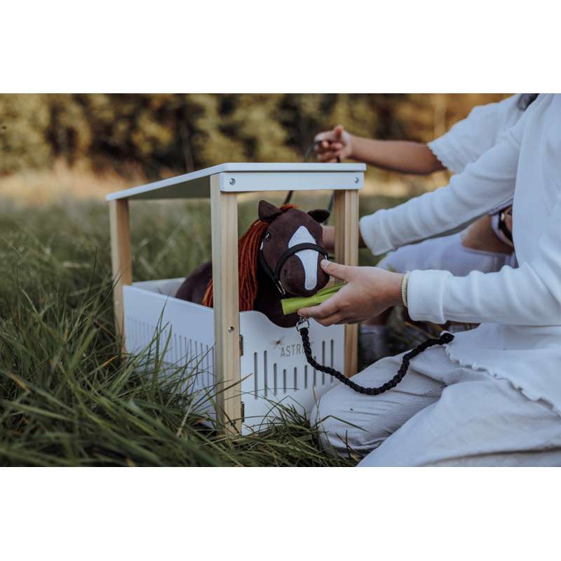 By Astrup Grajd pentru ponei de îmbrățișat