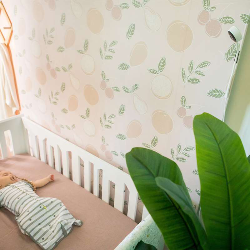 bblüv Babymonitor com controlo por App