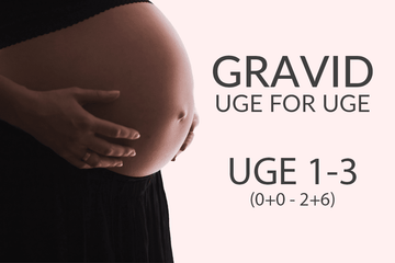 Gravid uge 1-3 (0+0 - 2+6)