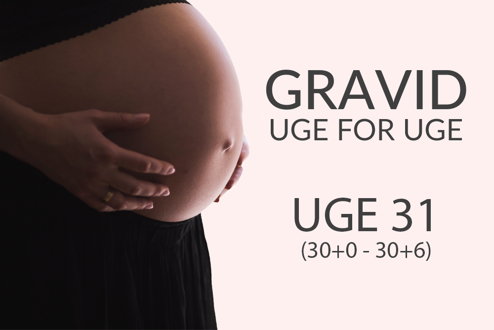 Uge 31 (30+0 - 30+6)