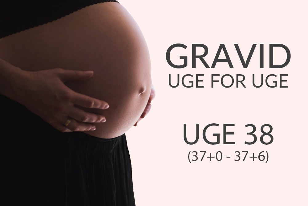 Uge 38 (37+0 - 37+6)