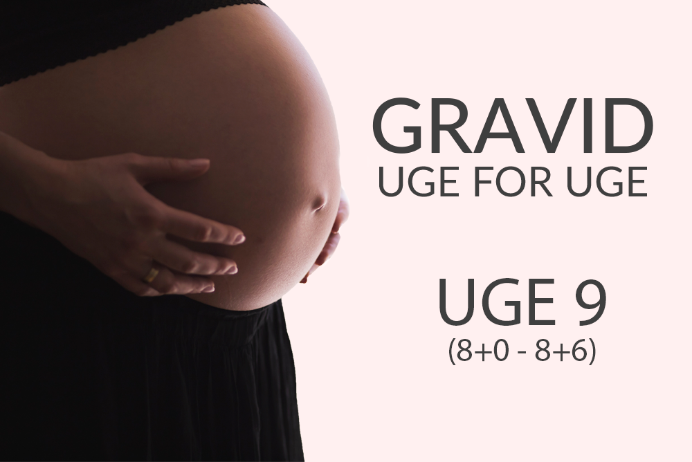 Gravid uge 9 (8+0 - 8+9)