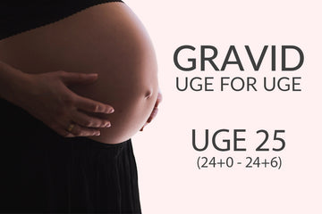 Uge 25 (24+0 - 24+6)