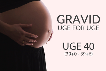 Uge 40 (39+0 - 39+6)