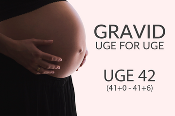 gravid_uge_42_mammashop