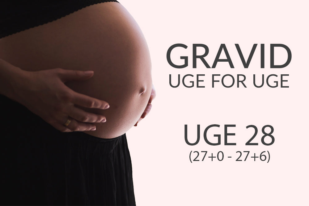 Uge 28 (27+0 - 27+6)