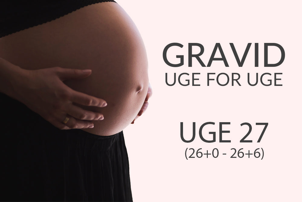 Uge 27 (26+0 - 26+5)