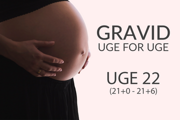 Gravid uge 22 (21+0 - 21+6)