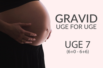 Gravid uge 7 (6+0 - 6+6)