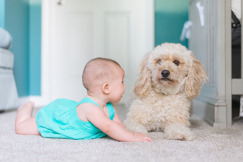 Derfor har børn godt af at vokse op med hund i hjemmet