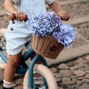 Bicycle accessories 