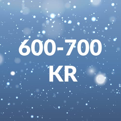 Legetøj 600-700 kr