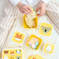 Packed lunch 