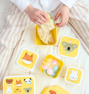 Packed lunch 