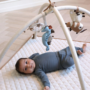 Activity gyms and play mats 