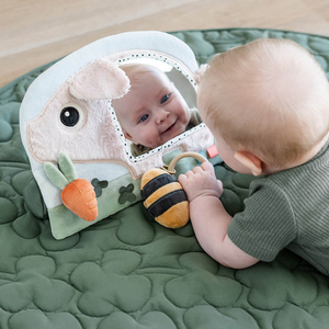 Toy with mirror 