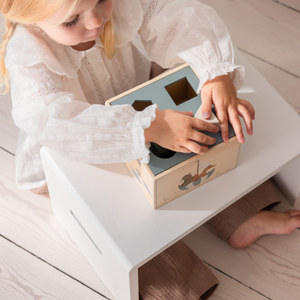Puppet boxes 