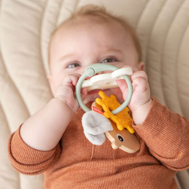 Teething ring → Buy teething rings for your baby right here! (+16 variants)