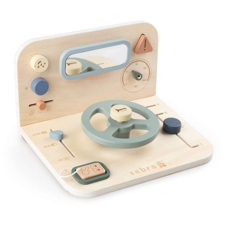 Sebra Activity panel - Car 