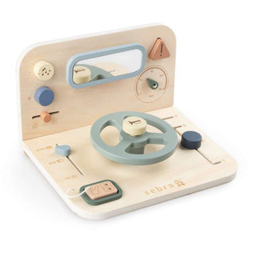 Sebra Activity panel - Car 
