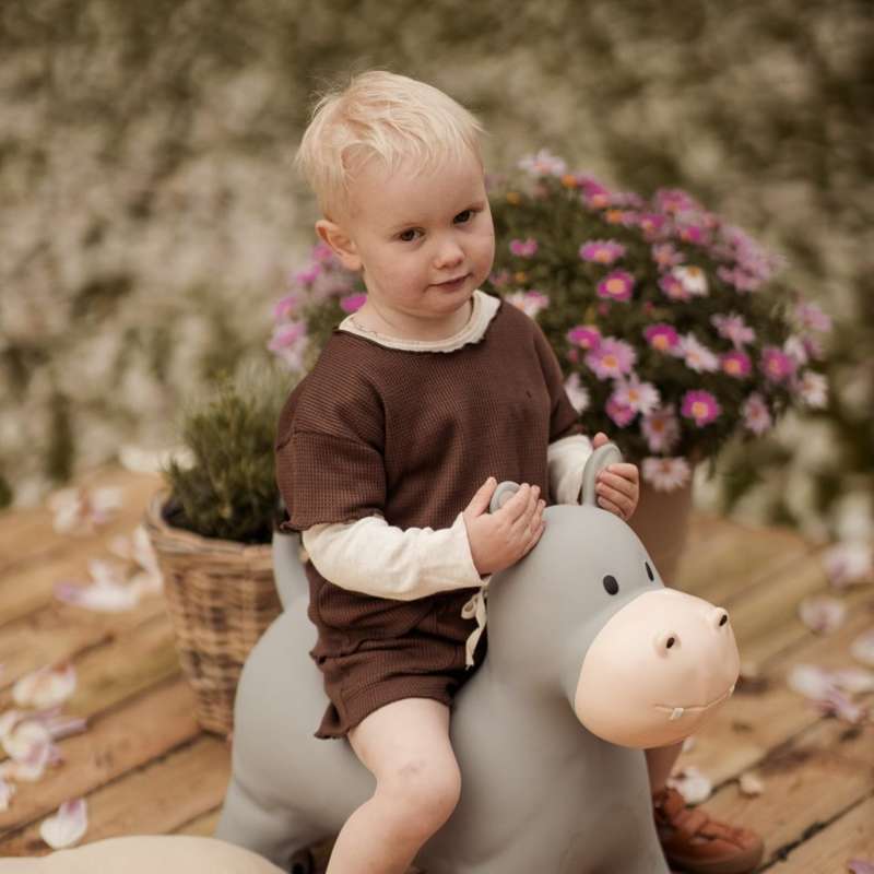 Găsește acel hipopotam Hoppedyr - Holger hipopotamul 