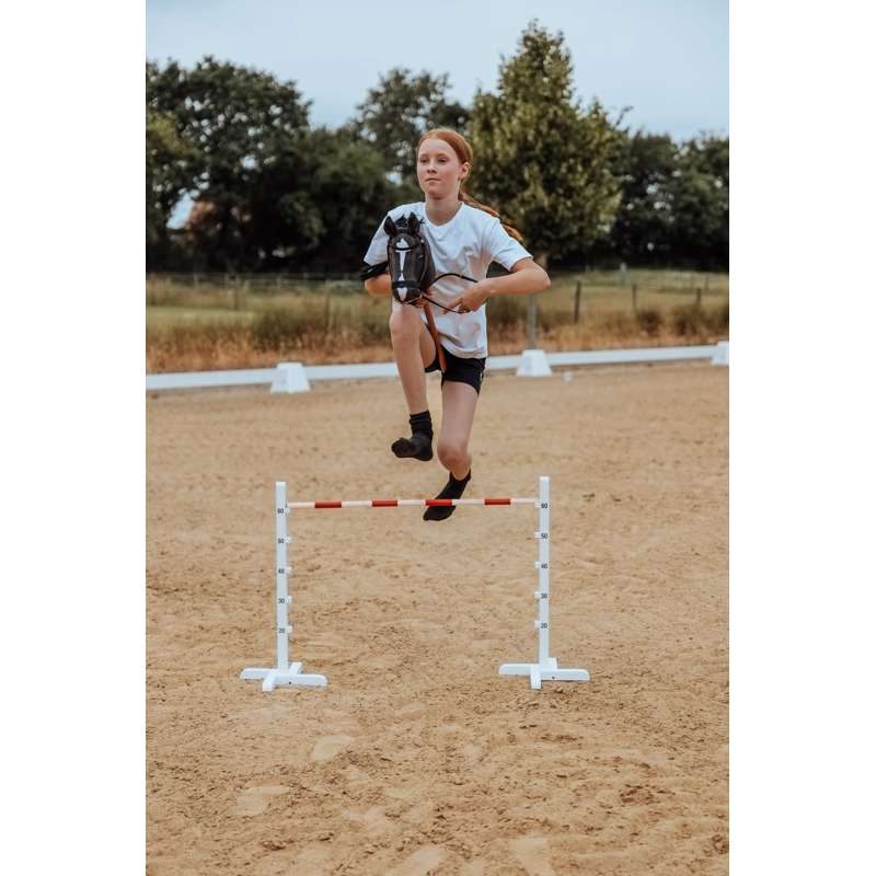 By Astrup Lóugrás a Küzdőlovakhoz 