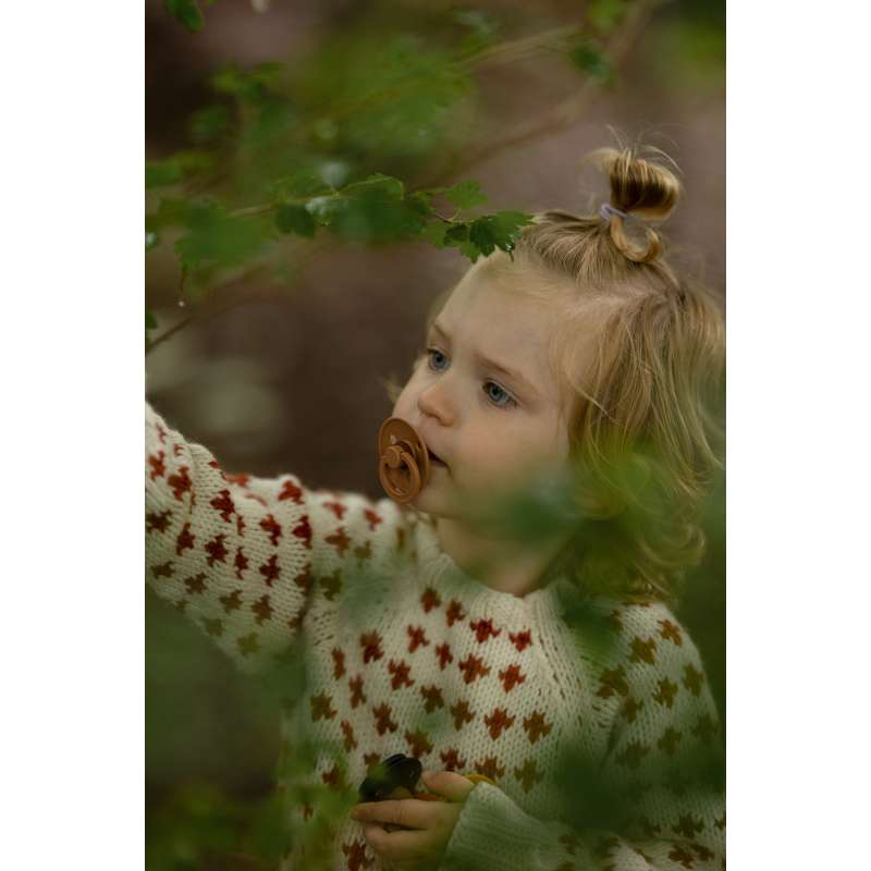 Succhietto Bibs Rotondo Colour - pacchetto - 5 pz. - tg. 2 - Felicità d'Autunno 