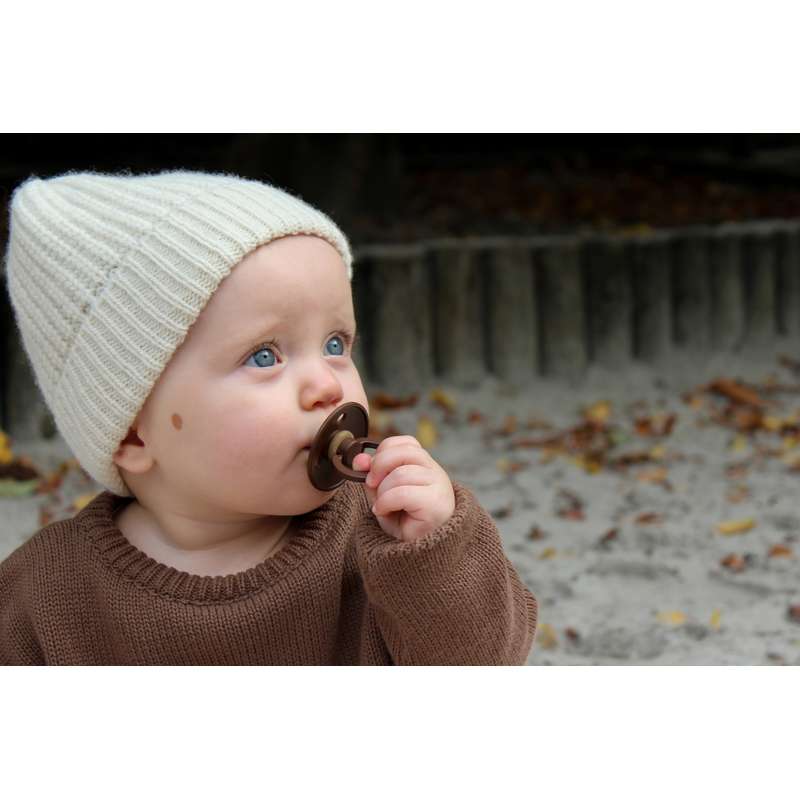 Succhietto Bibs Rotondo Colour - pacchetto - 3 pezzi - tg. 2 - Pavimento della Foresta 