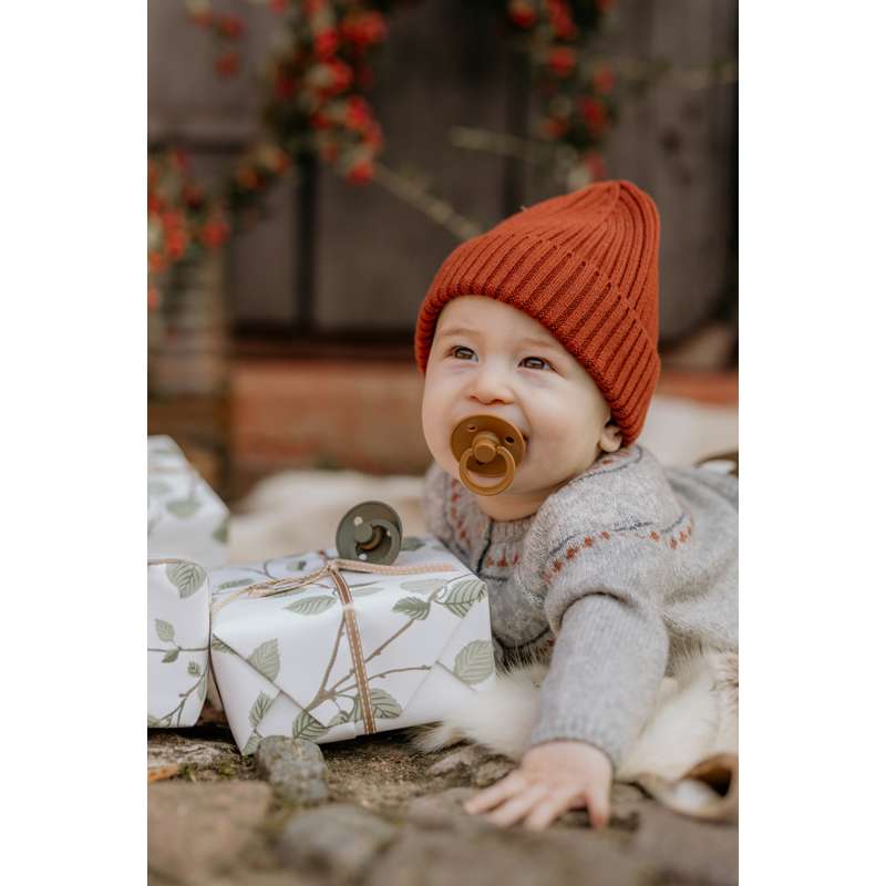 Succhietto Bibs Rotondo Colour - pacchetto - 5 pz. - tg. 1 - Verde e Terracotta 