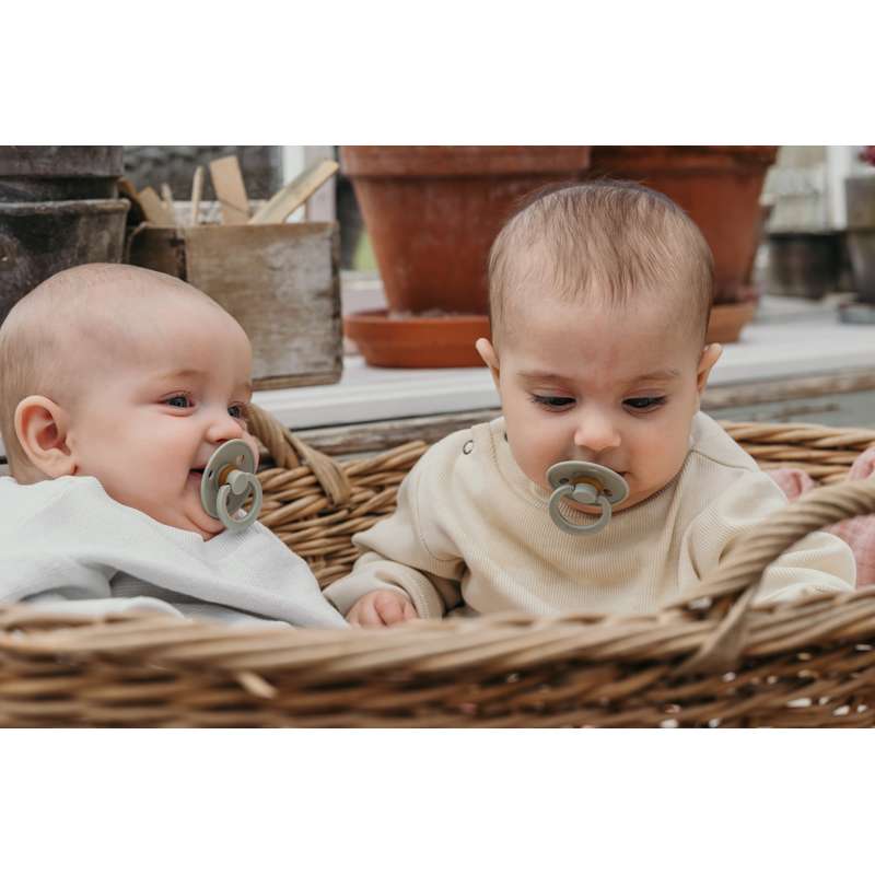 Succhietto Bibs Rotondo Colour - pacchetto - 5 pz. - tg. 1 - Muschio Morbido 