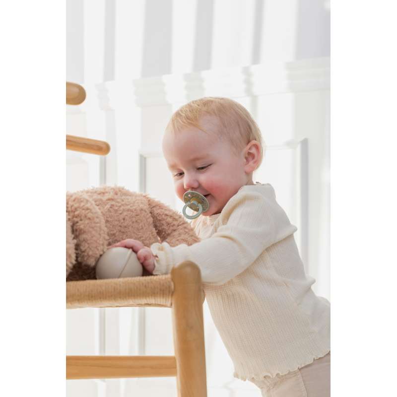 BIBS Round natural rubber Pacifier - bundle - 5 pcs. - sz. 2 - Early Morning 