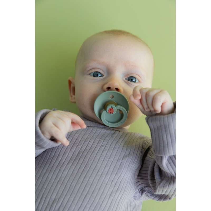 Sucette BIBS ronde Colour - Taille 3 - Caoutchouc naturel - Ladybug Studio - Sage