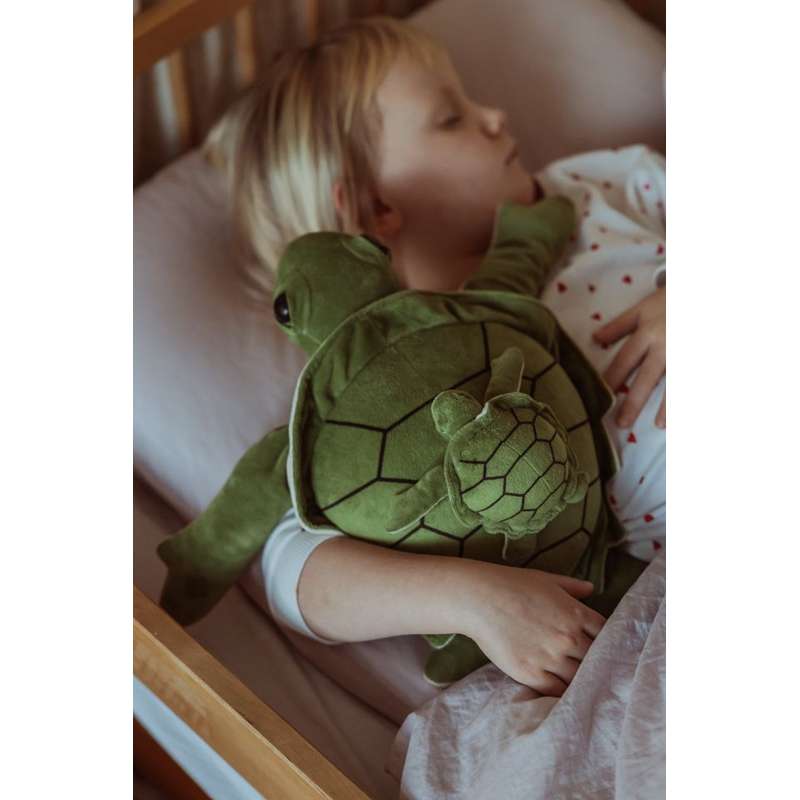 By Astrup Animal de greutate - Țestoasă - 1.6kg 