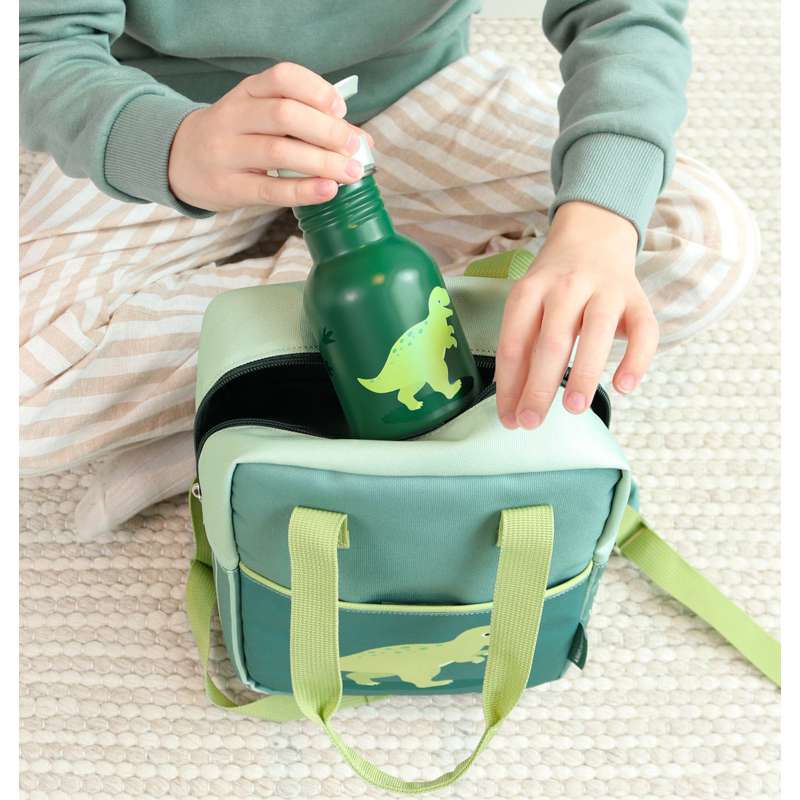 A Little Lovely Company Single-wall Steel Water Bottle - 350ml - Dinosaurs 