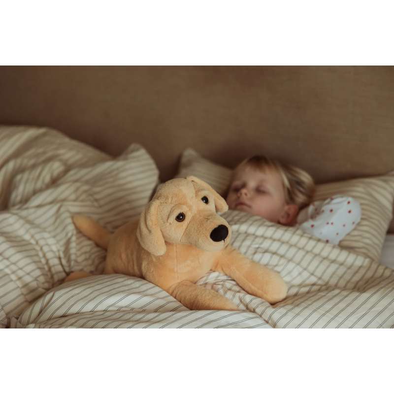By Astrup Animal de companie - Câine - 2.2kg 