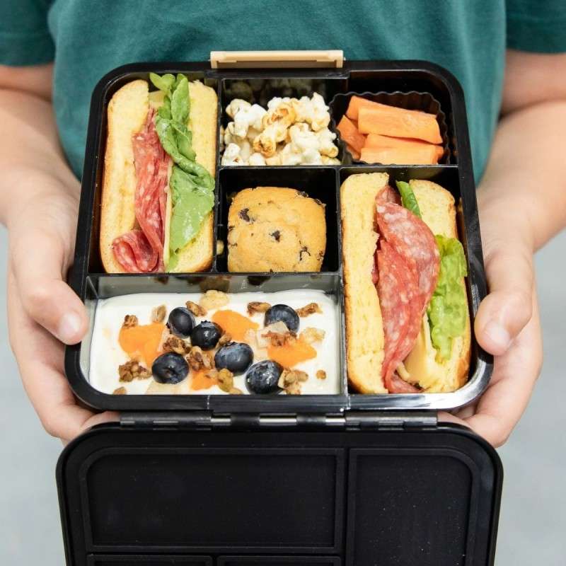 MontiiCo Bento 5 Lunch Box - Dinosaur Land 