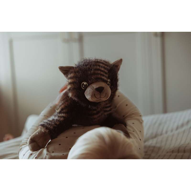 By Astrup Animal de companie - Pisică - 1.2kg 