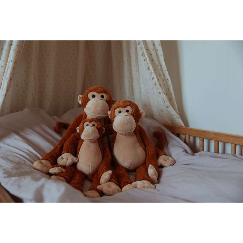 By Astrup Animal de companie greu - Maimuță - 0.5kg 
