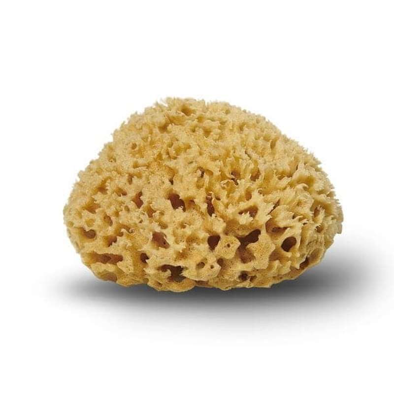 Cocoon Company Honeycomb sponge - 12 cm.