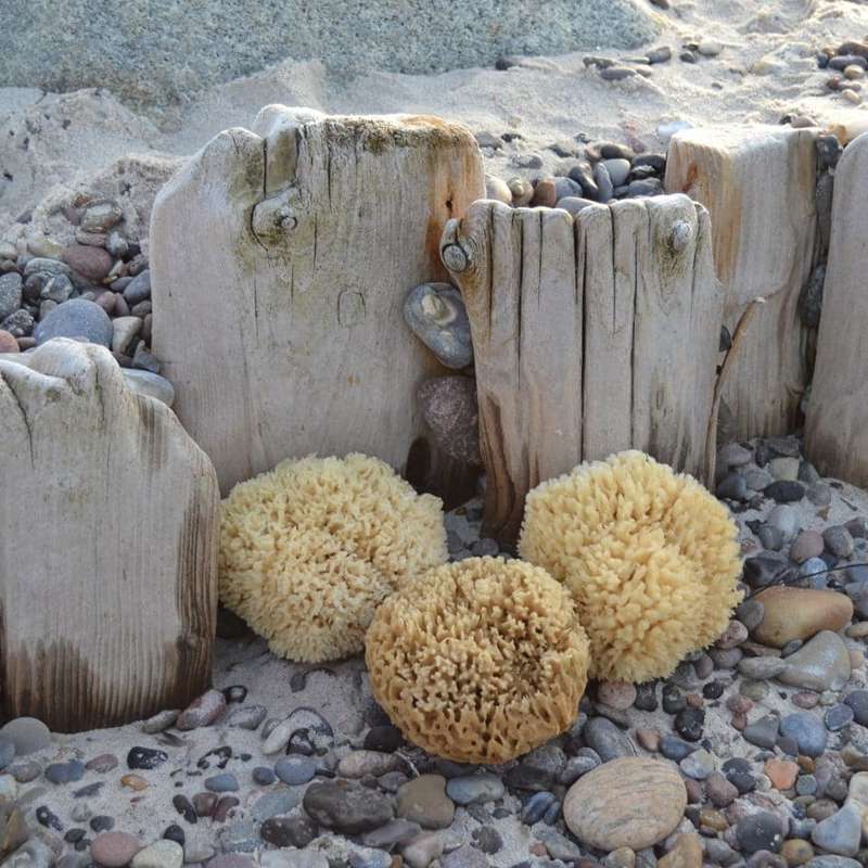 Cocoon Company Honeycomb sponge - 12 cm.